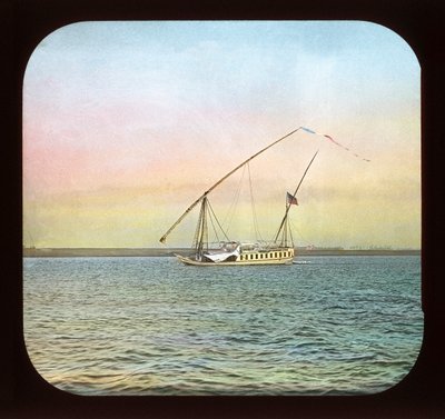 Egypt - dhahabiyeh of American tourists, Luxor by American Photographer